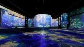 ตั๋วเข้าชมนิทรรศการถาวร Phoenix des Lumières