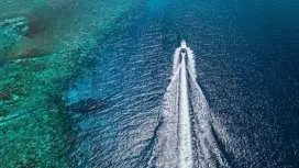 Private half-day tour on a speedboat from Dubrovnik