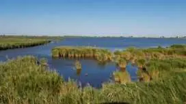 River cruise through the Ebro Delta river