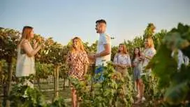 Mendoza winery tour and tasting ticket