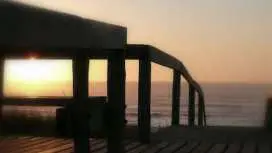 阿威羅自行車租賃