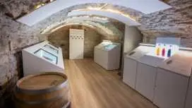 Le Petit Musée du Vin 門票(含里昂品酒)