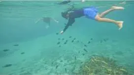 【久米島・はての浜】予約殺到中!感動のはての浜沖合シュノーケル体験|透明度抜群の絶景スポットへ