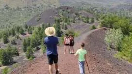 Etna North Private Trekking and Wine Tasting with Light Lunch