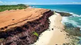 Pipa Day Trip - Group Tour Spanish and Portuguese