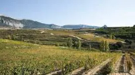 Visit to Two Wineries in La Rioja from Logroño with Tasting and Tapas