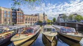 Amsterdam's art and culture tour with a local