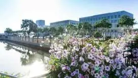 在当地人的带领下,参加健行徒步之旅,探索米卢斯
