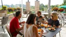 Vinegar cellar and winery tour with tastings and brunch from Bologna