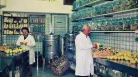 Limoncello factory tour and tasting in Amalfi's centre