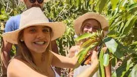 Hands-on experience at an avocado farm with local menu and wine