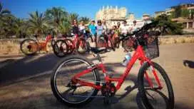 Discovering Palma on a Bicycle Tour