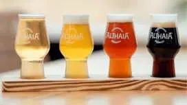 Althaia Brewery Tour and Craft Beer Tasting