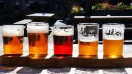 Self-Guided Pub Trail, Scavenger Hunt and City Walk in Amersfoort