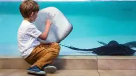 Palma Aquarium ticket
