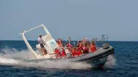 Speed boat experience in Mallorca