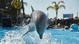 Mundomar Park Admission Tickets