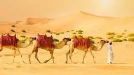Morning desert safari with dune bashing, sandboarding, and camel ride