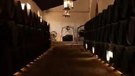 塞维利亚贡戈拉酒庄高级之旅及品尝体验