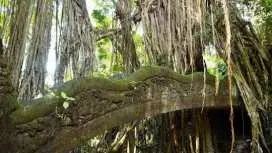 Art of Ubud Private Tour