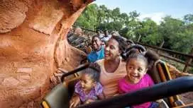 ウォルト・ディズニー・ワールド4日間4パークマジックチケット