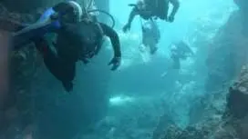 【1グループ貸切】写真撮影データLINE送付無料! [体験ダイビング]