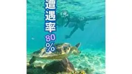 【ゴープロ無料貸出!撮り放題】遭遇率80%以上ウミガメシュノーケル/到着後・最終日OK◎写真無料【那覇から車で30分】那覇から30分!