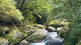 白谷雲水峡英語ツアー。太鼓岩までの往復。用具無料レンタル。