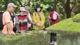 【沖縄・国頭村】世界自然遺産やんばる|辺戸岬〜宜名真集落「山・水・海の循環」を歩くガイドツアー