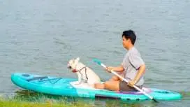 在塞维利亚体验90分钟带狗桨板冲浪