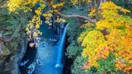 Day Trip to Sacred Shrines and Natural Wonders from Fukuoka