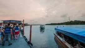 Guided tour of Kuala Lumpur with Batu Caves and fireflies village