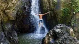 El Yunque Rainforest nature hikes with a local full-day tour