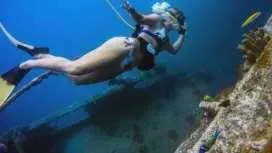 阿魯巴島水肺潛水下午之旅