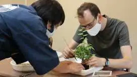 Authentic Japanese Bonsai Experience in Tokyo