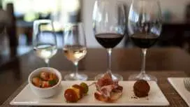 Tasting and Lunch at Bodega Pizzorno in Montevideo