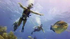 德帕瑪島水肺潛水體驗