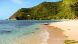 Full-day Bahía Concha and Tayrona Park guided tour with lunch