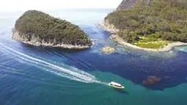 布魯尼島3小時遊船之旅,含凱特靈巴士接送