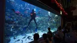 Aquaria KLCC Kuala Lumpur entrance ticket