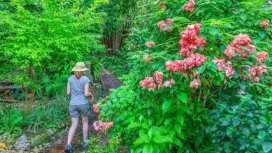 Barbados Flower Forest, Harrison's Cave & Earthworks Pottery Tour