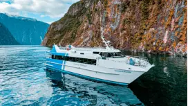 Milford Sound boutique small boat day cruise