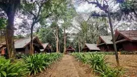 Taman Negara jungle tour