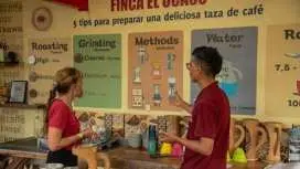 Finca El Ocaso咖啡农场导览及品尝之旅
