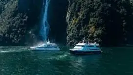 Milford Sound cruise experience