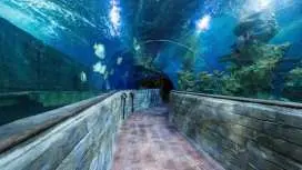 马耳他国家水族馆门票