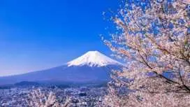 富士山和忍野八海之旅(可選溫泉或出口)