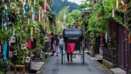 高山古城徒步之旅(當地導遊陪同)