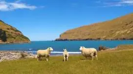 2-hours nature tour