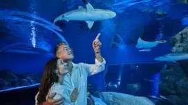 凱恩斯水族館黃昏導覽遊,含三道菜晚餐